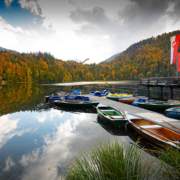 Freibergsee