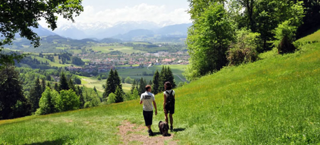 Ferienwohnungen im Oberallgäu