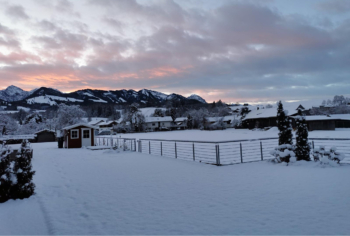 Winterlandschaft